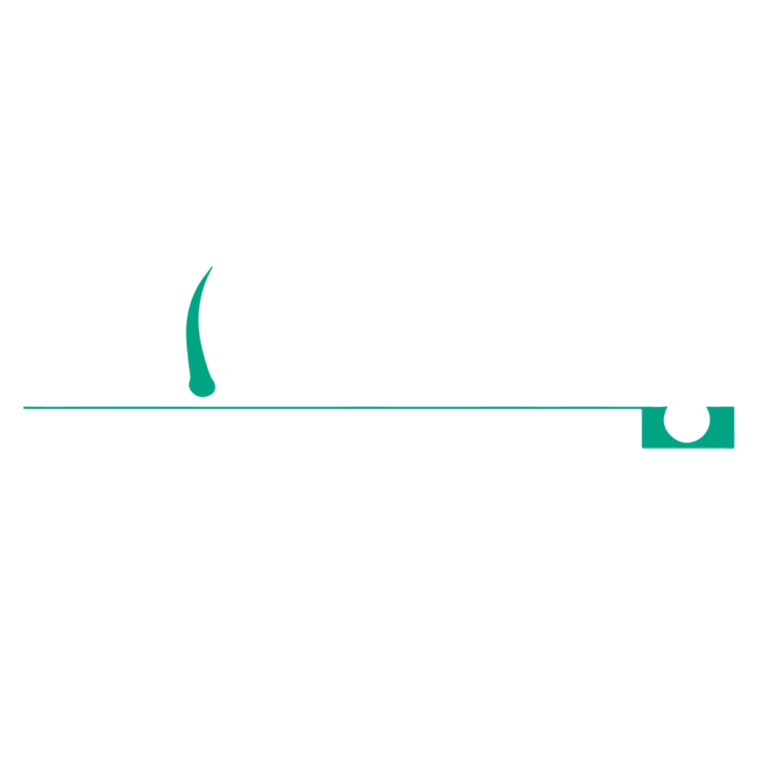 footer logo